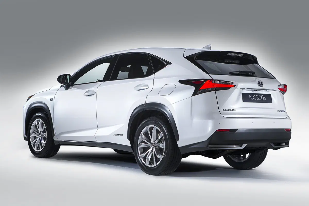 Lexus NX Hybrid 4WD Business (4)
