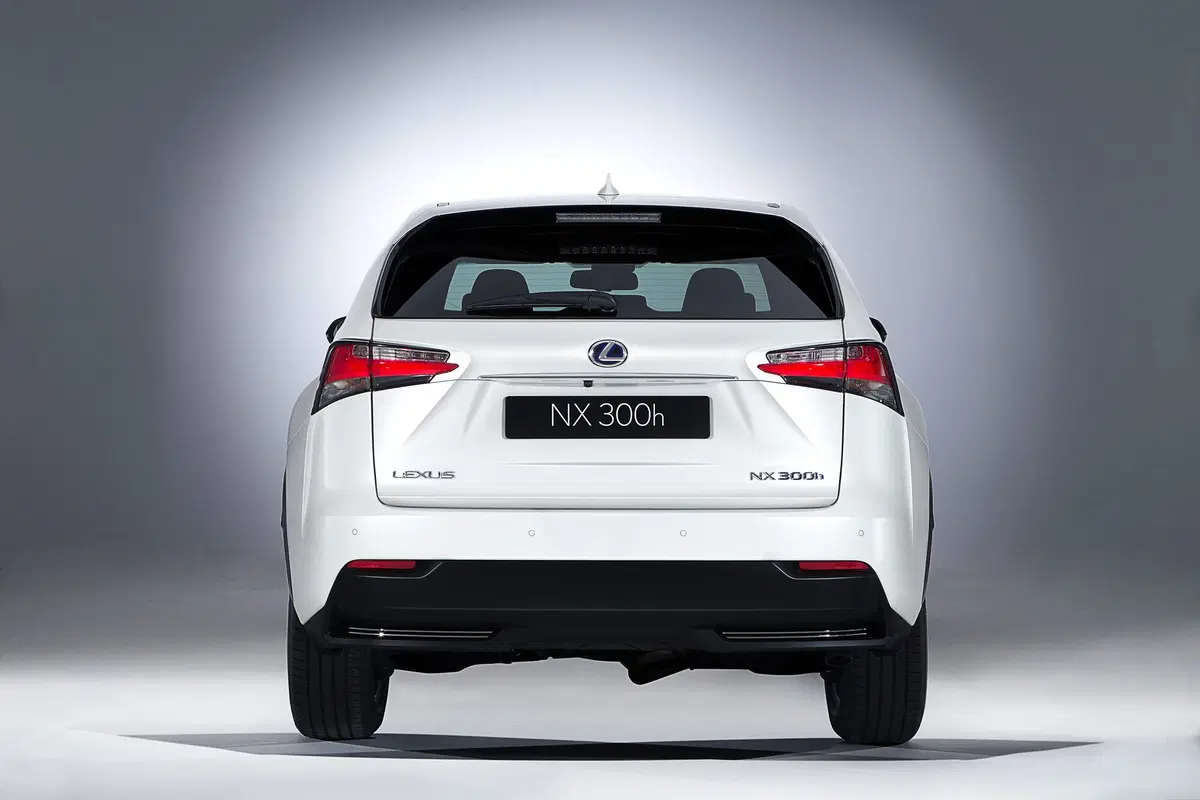 Lexus NX Hybrid 4WD Business (5)
