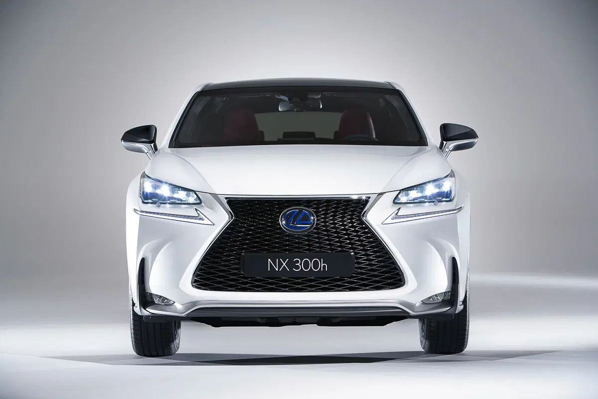 Lexus NX Hybrid 4WD Business (3)