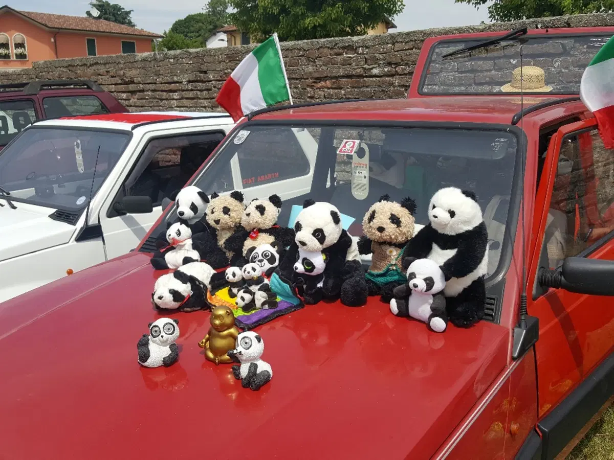 Nuova Panda Waze al raduno annuale di Pandino: record battuto [video] (23)
