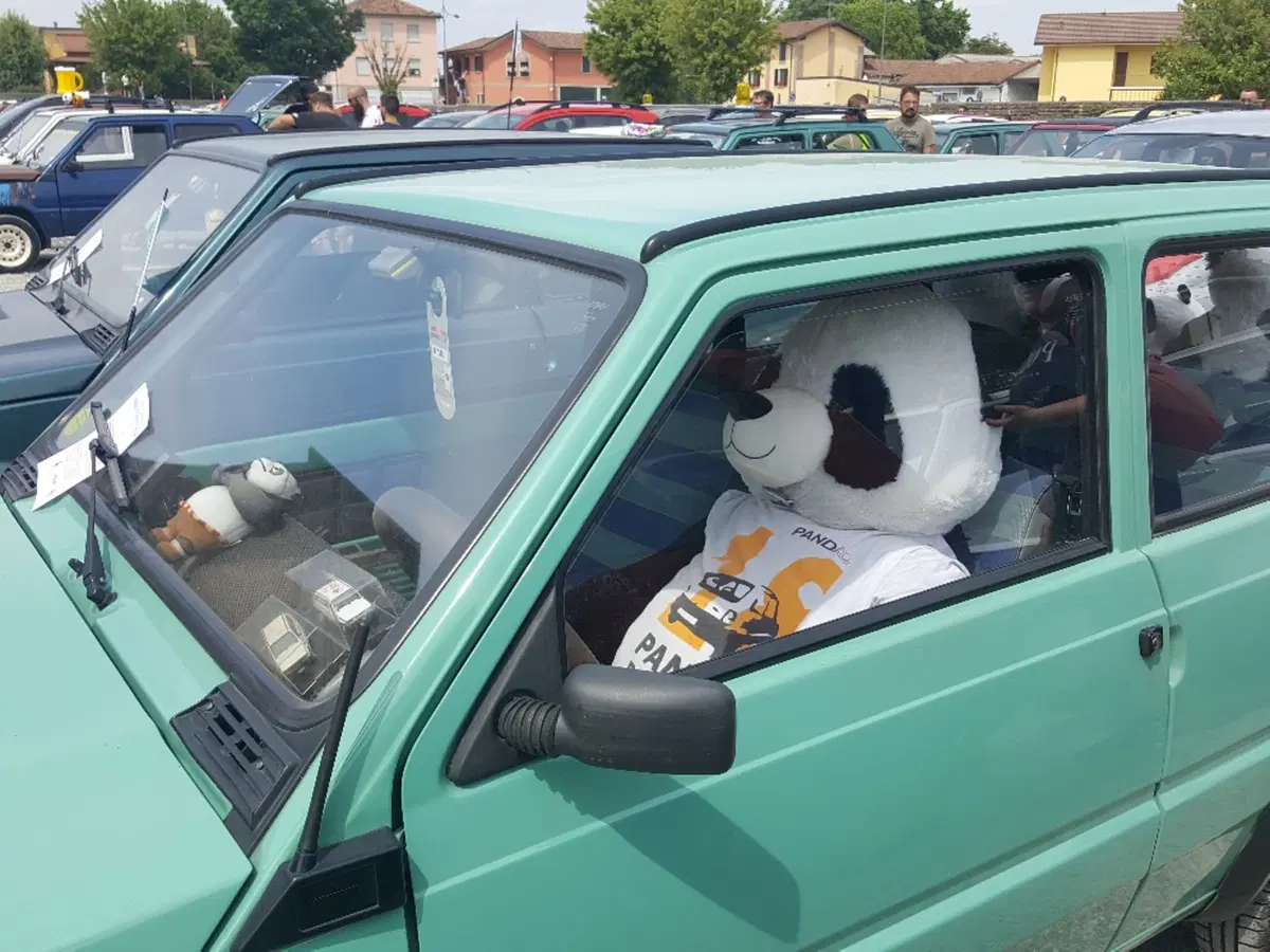 Nuova Panda Waze al raduno annuale di Pandino: record battuto [video] (9)