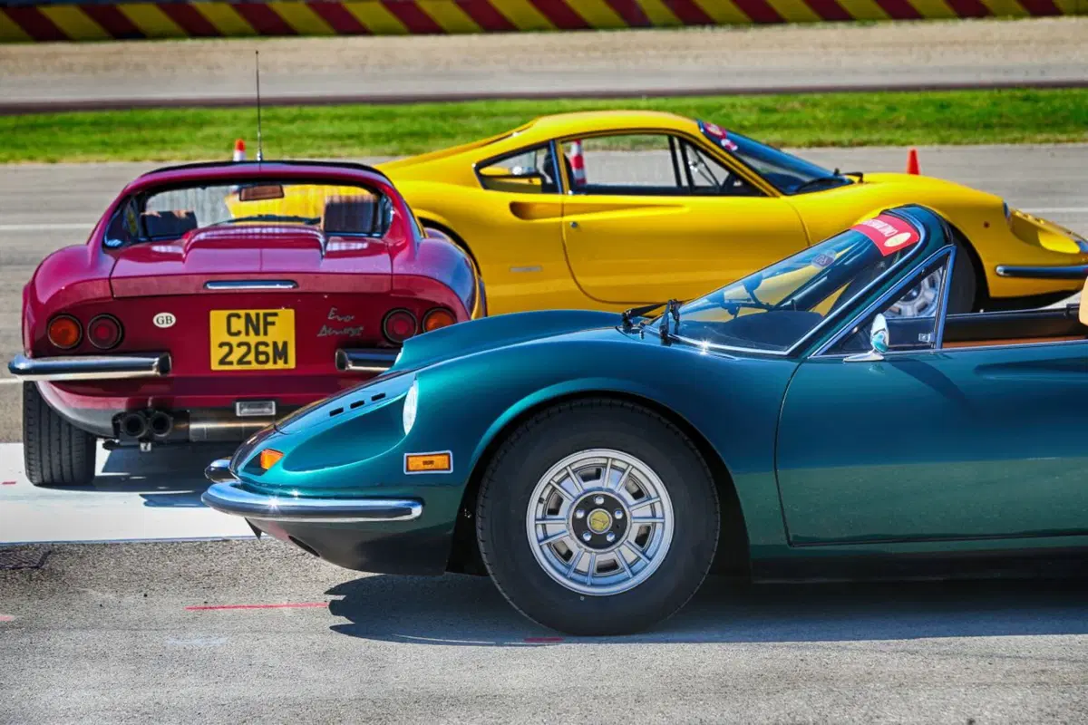 Ferrari Dino, raduno record per i 50 anni (4)