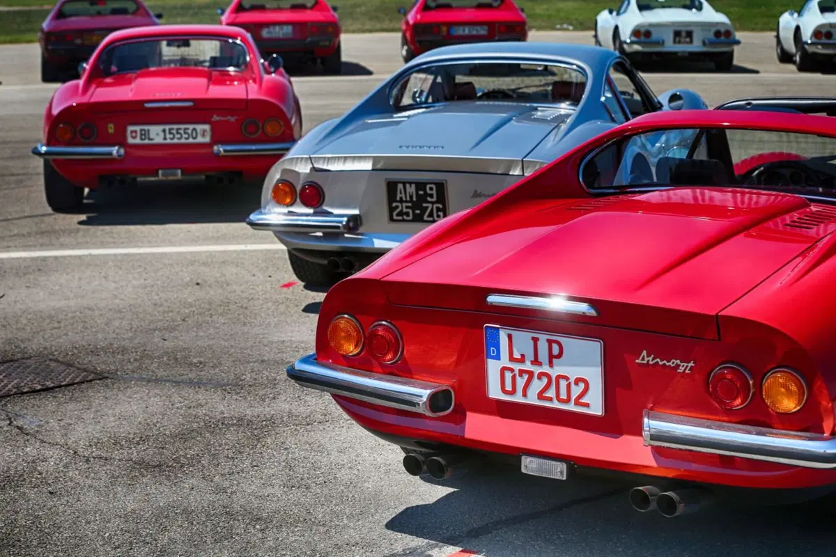 Ferrari Dino, raduno record per i 50 anni (7)