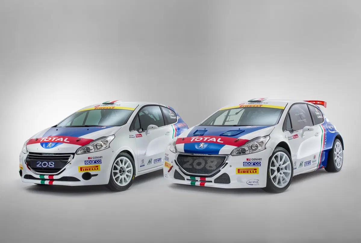 CIR 2016. Peugeot Sport, Milano T16 (14)