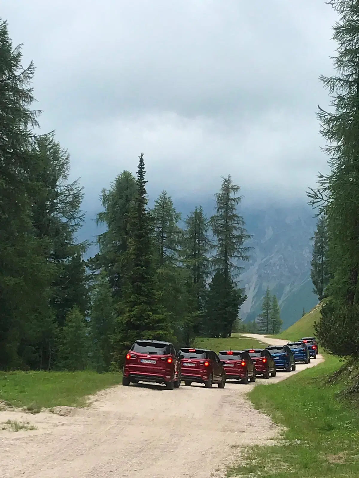 Ford Ecosport 2018 AWD. Integrale facile e efficace (3)