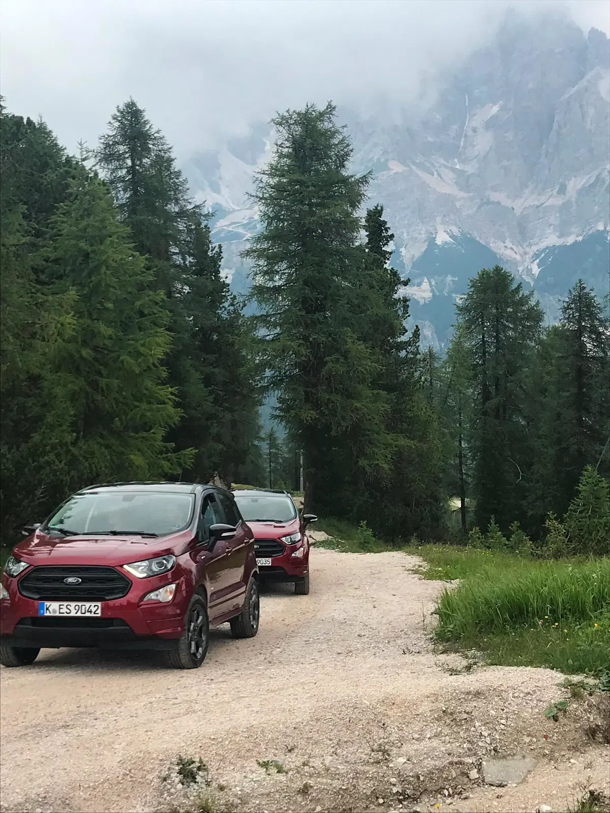 Ford Ecosport 2018 AWD. Integrale facile e efficace (4)