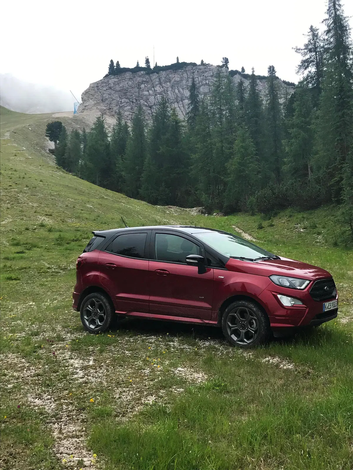 Ford Ecosport 2018 AWD. Integrale facile e efficace (5)