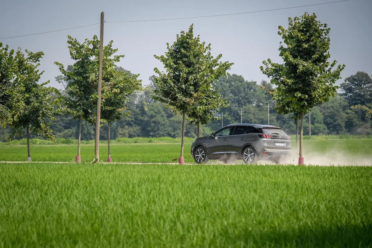 Novità Peugeot 3008, Cambio EAT8 sulle motorizzazioni Euro6.2 (27)