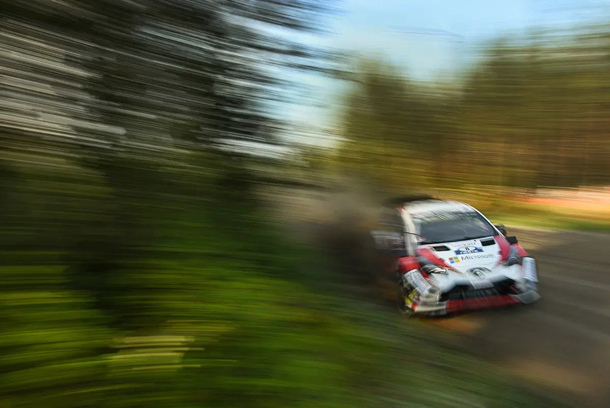 WRC Finlandia 2018: le immagini più belle (37)