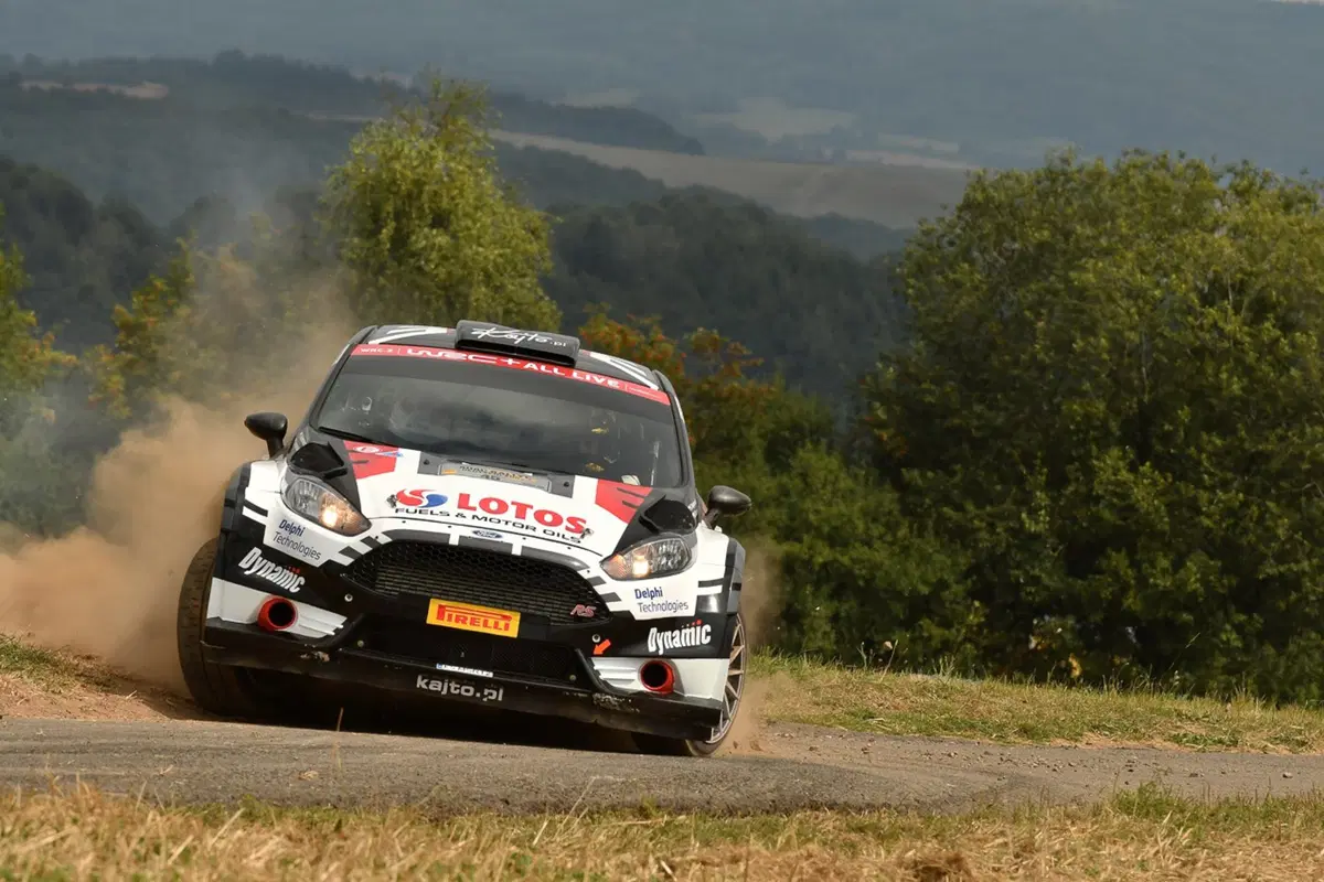 WRC18 Germania. Demolizioni controllate Tanak-Toyota (16)