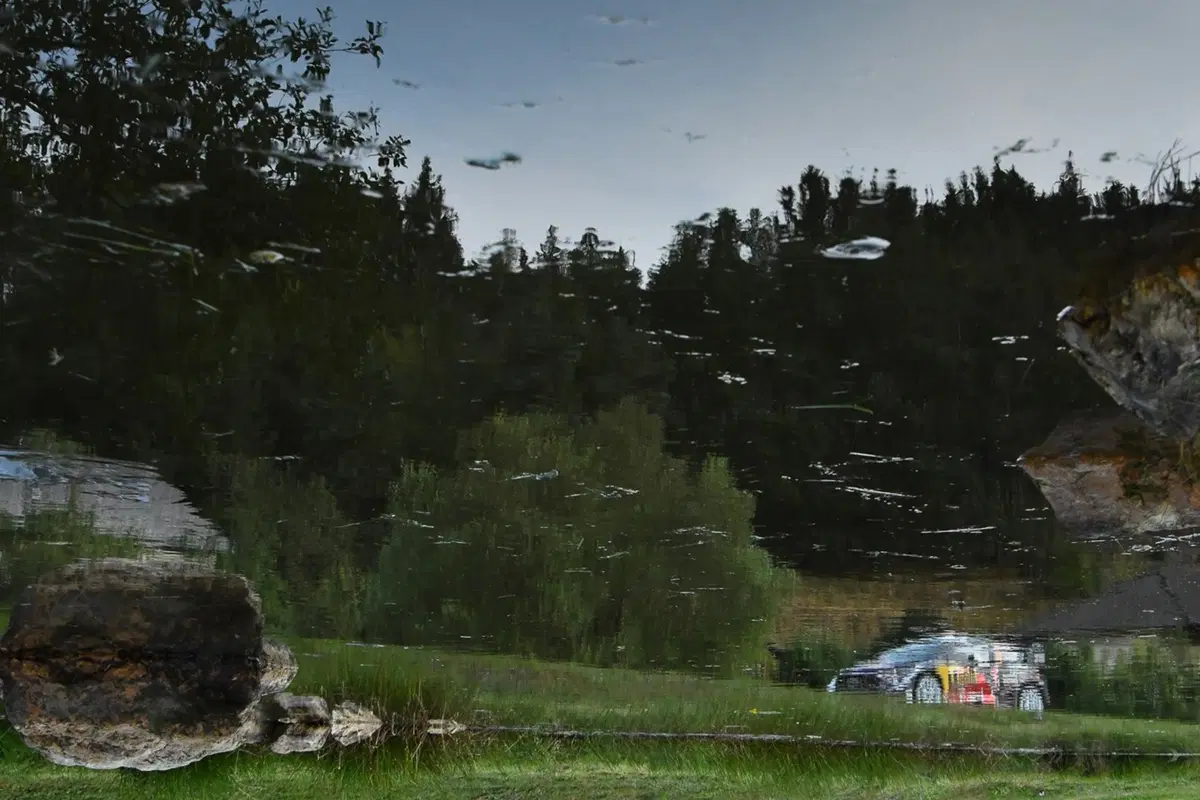 WRC18 Germania. Demolizioni controllate Tanak-Toyota (17)