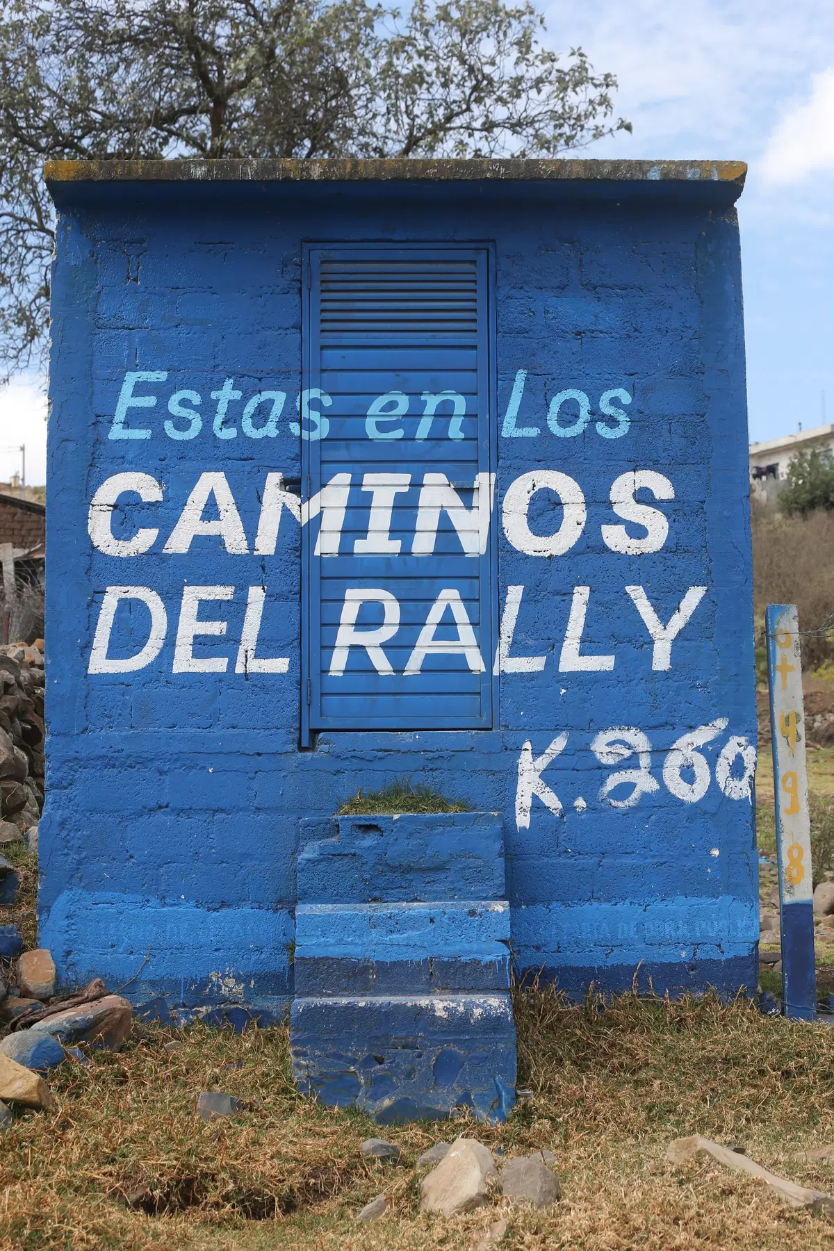 WRC16 Messico. Guanajuato 80 o Ogier 100? (6)