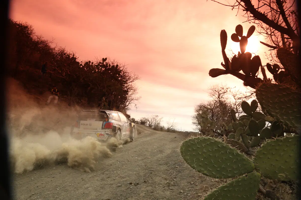 WRC16 Messico. Guanajuato 80 o Ogier 100? (39)