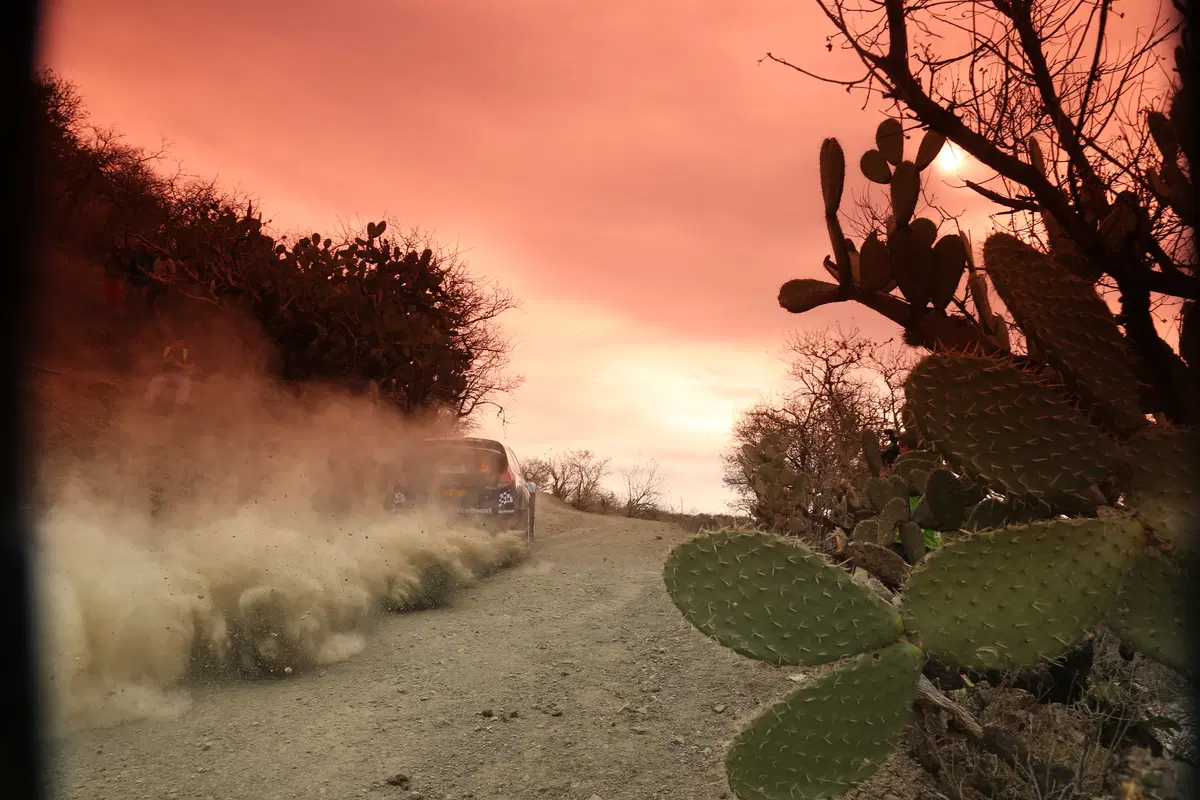 WRC16 Messico. Guanajuato 80 o Ogier 100? (40)