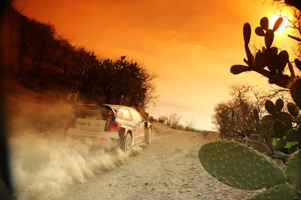 WRC16 Messico. Guanajuato 80 o Ogier 100? (42)