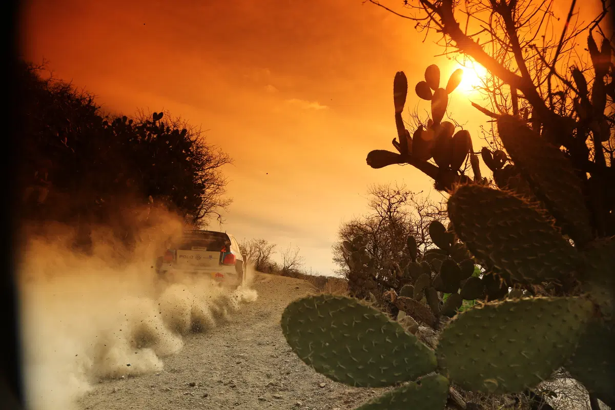 WRC16 Messico. Guanajuato 80 o Ogier 100? (47)