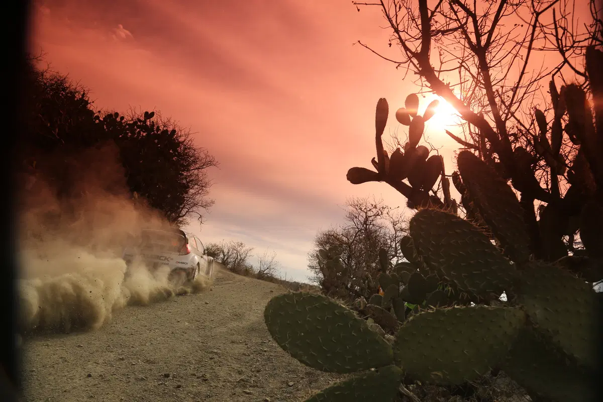 WRC16 Messico. Guanajuato 80 o Ogier 100? (44)