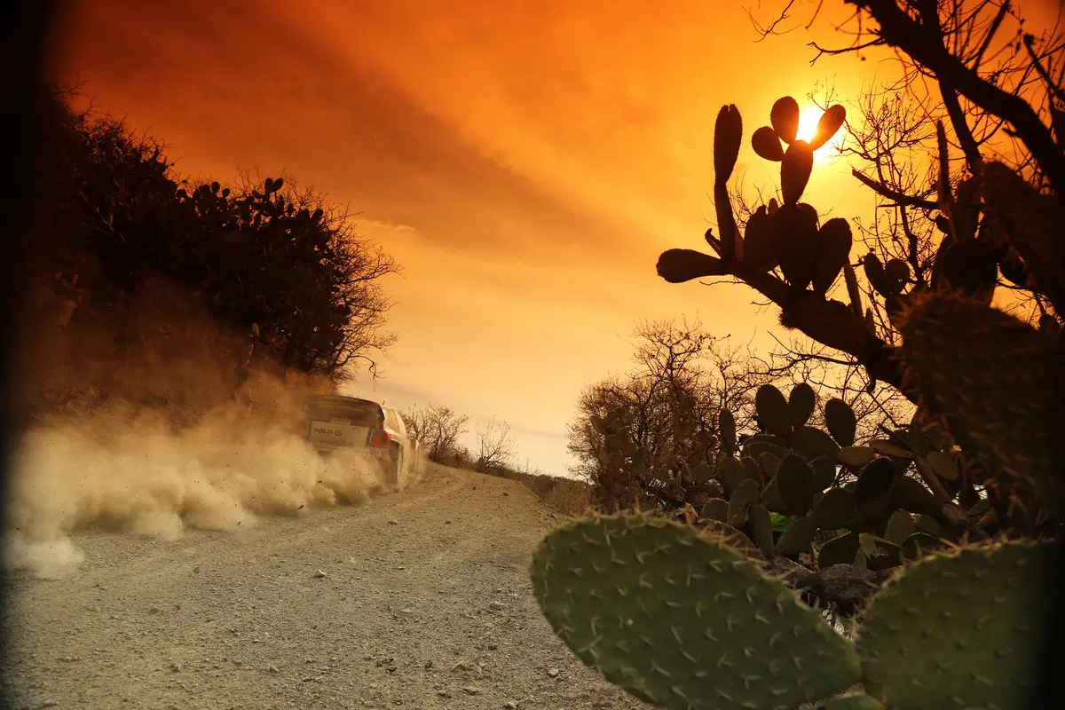 WRC16 Messico. Guanajuato 80 o Ogier 100? (46)