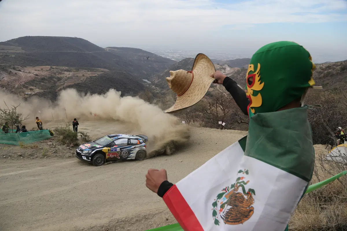 WRC16 Messico. Guanajuato 80 o Ogier 100? (54)