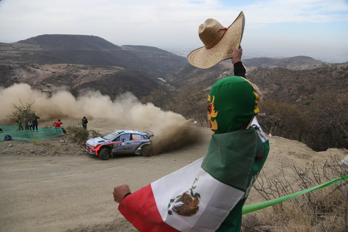 WRC16 Messico. Guanajuato 80 o Ogier 100? (55)