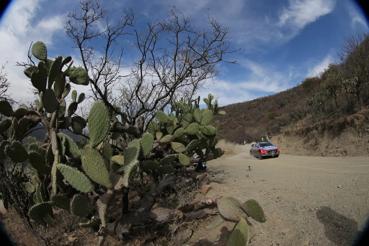 WRC16 Messico. Guanajuato 80 o Ogier 100? (63)
