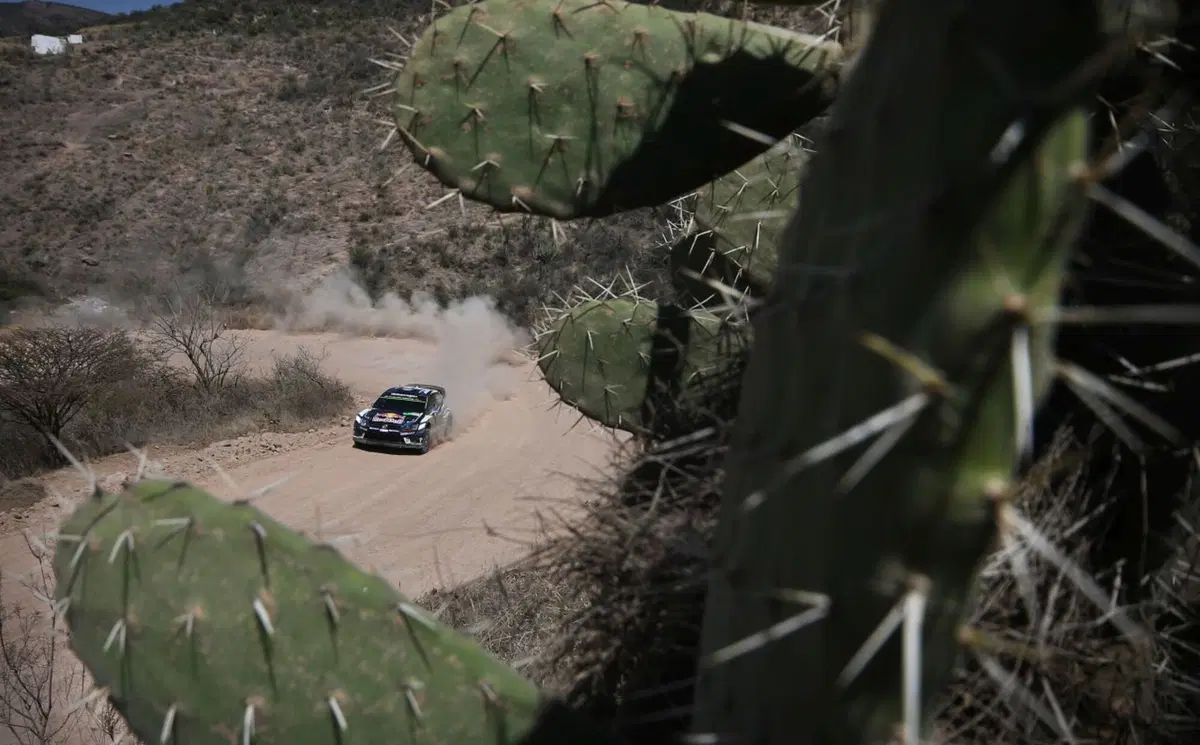 WRC16 Messico. Latvala-Anttila-VW Trio Irraggiungibile (32)