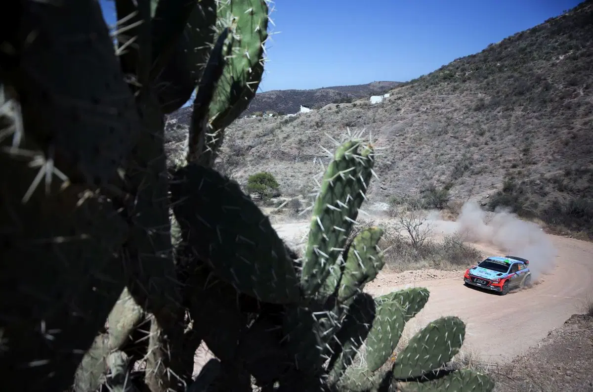 WRC16 Messico. Latvala-Anttila-VW Trio Irraggiungibile (35)