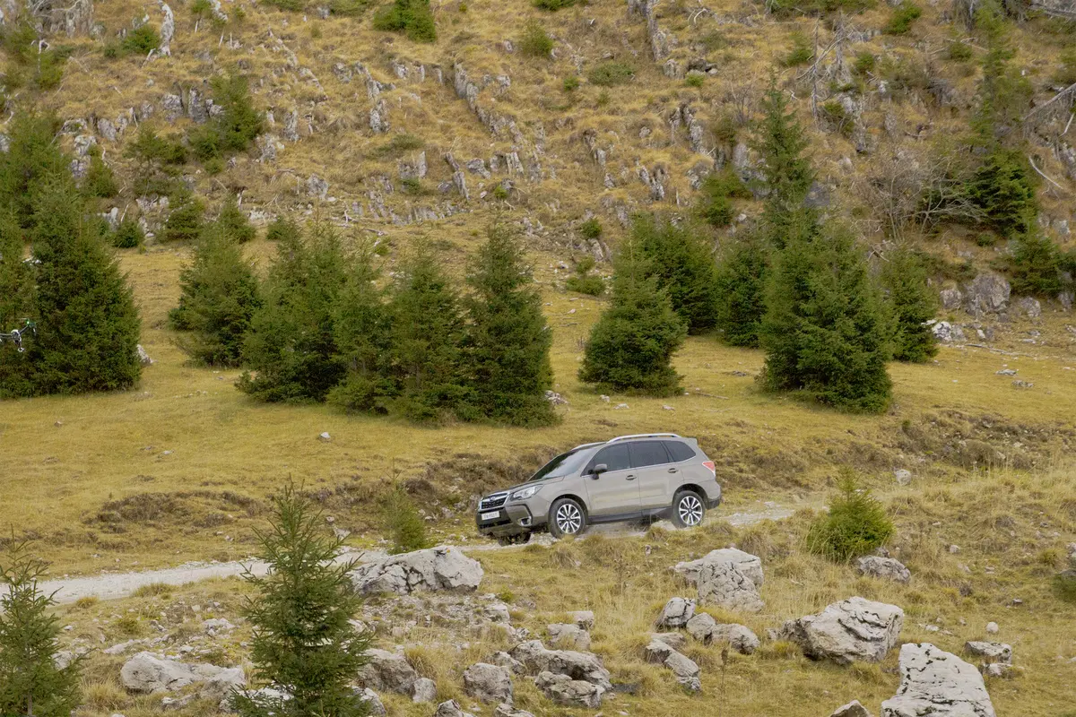 Subaru Forester MY2016 [Video] (9)