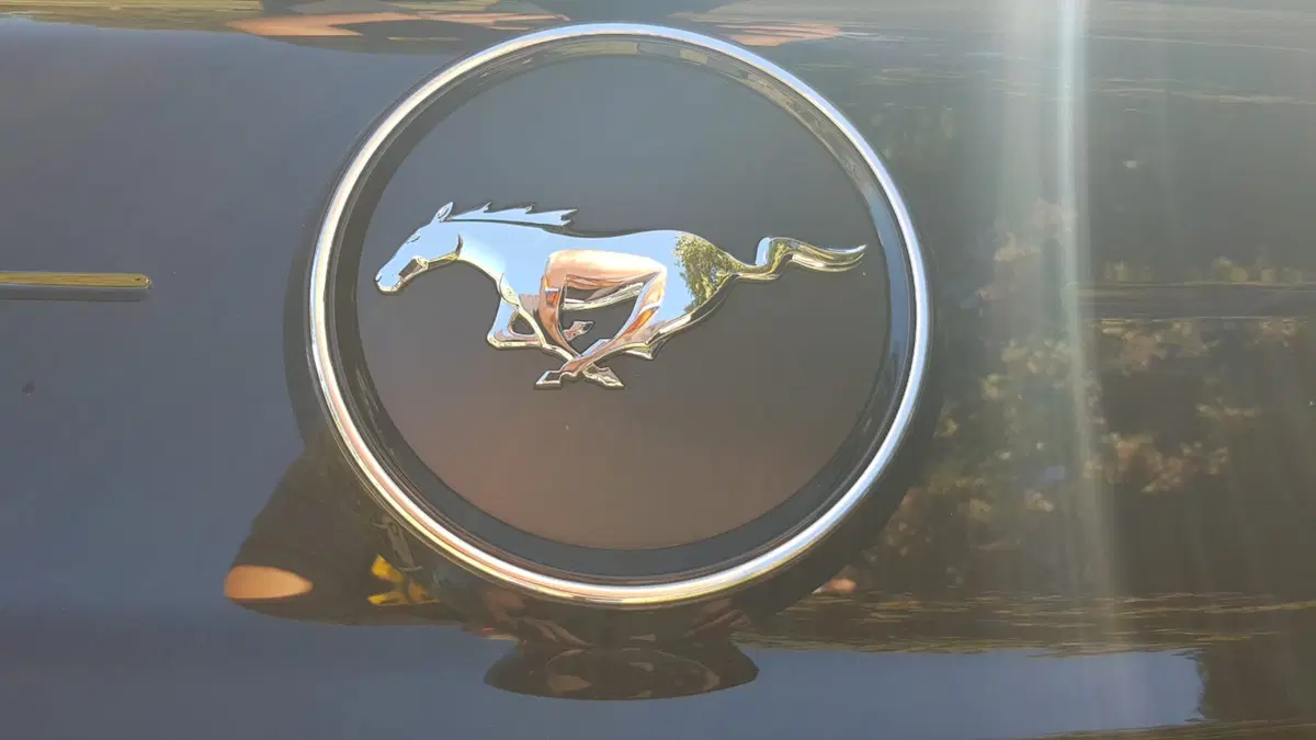 Ford Mustang | Agnellino o bestia da strada? (9)