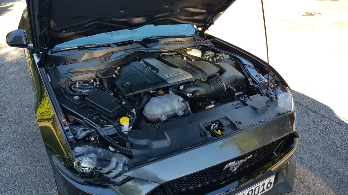 Ford Mustang | Agnellino o bestia da strada? (11)