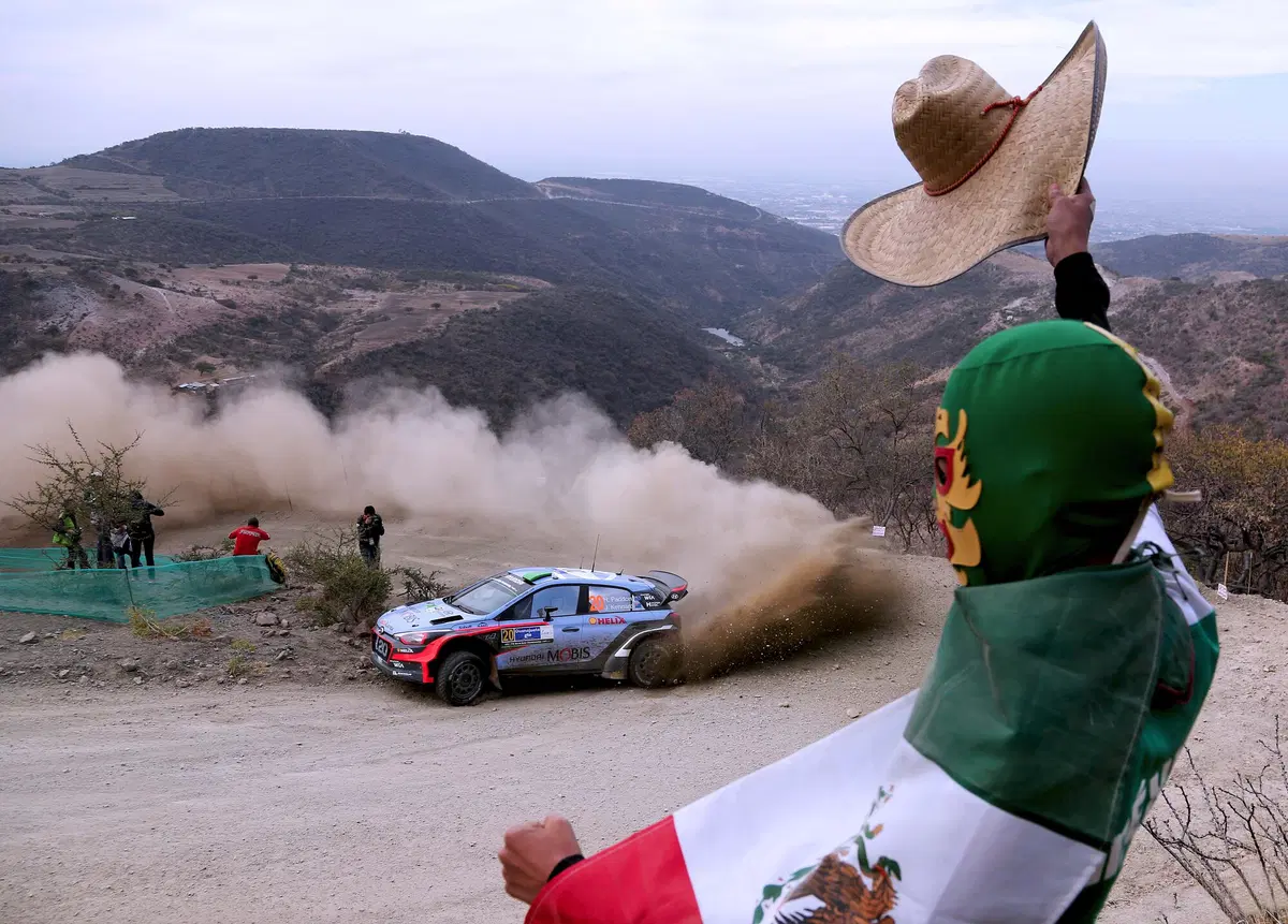 WRC 2016 con Hayden Paddon: Messico (19)