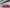 Ford Focus 2019, la tecnologia