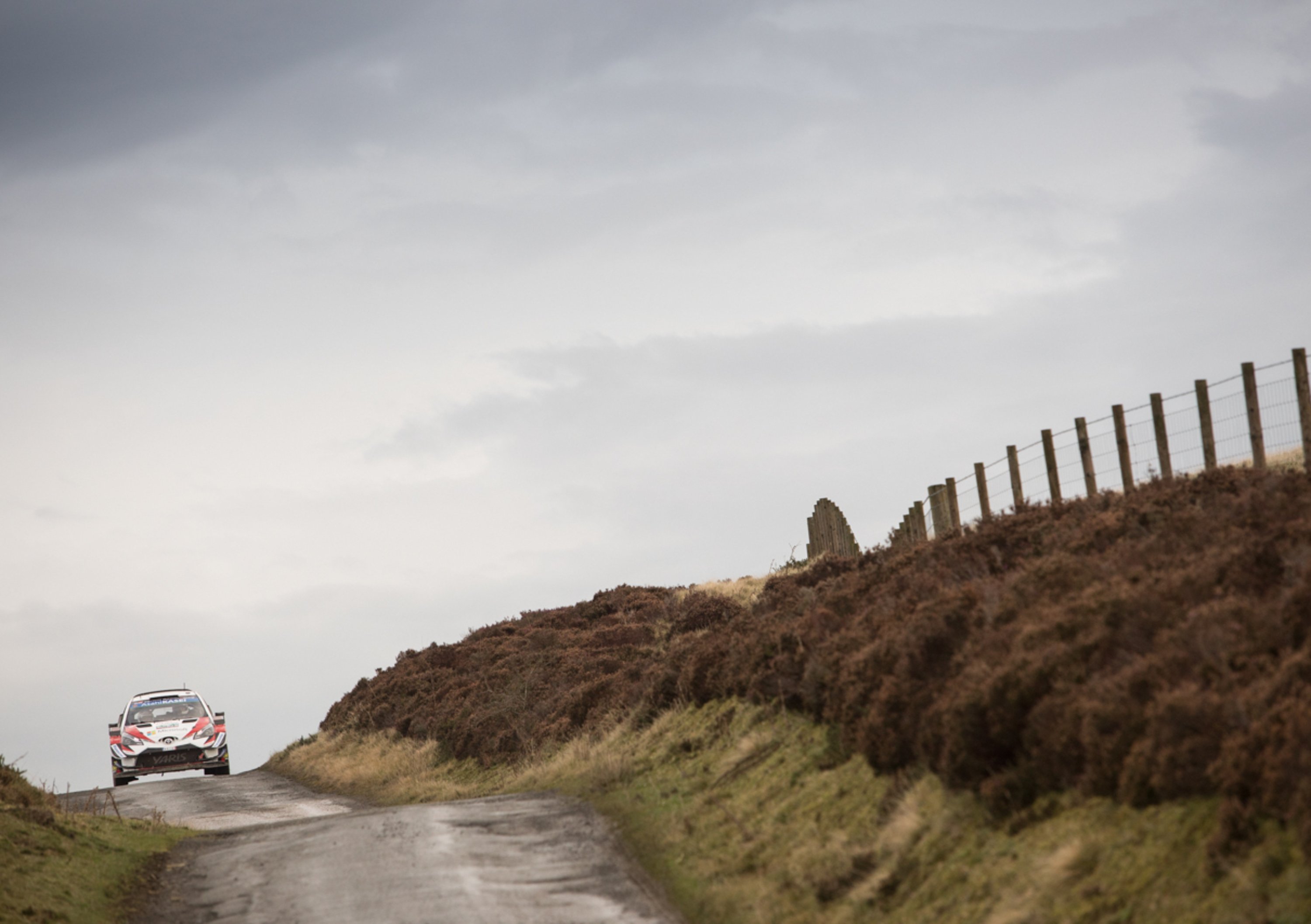 WRC18 Galles. Fine Primo Tempo: Tanak (Toyota)