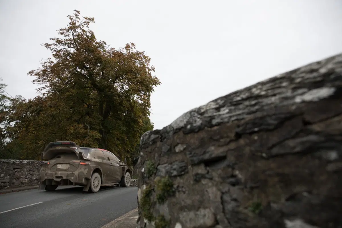 WRC18 Galles. Fine Primo Tempo: Tanak (Toyota) (9)