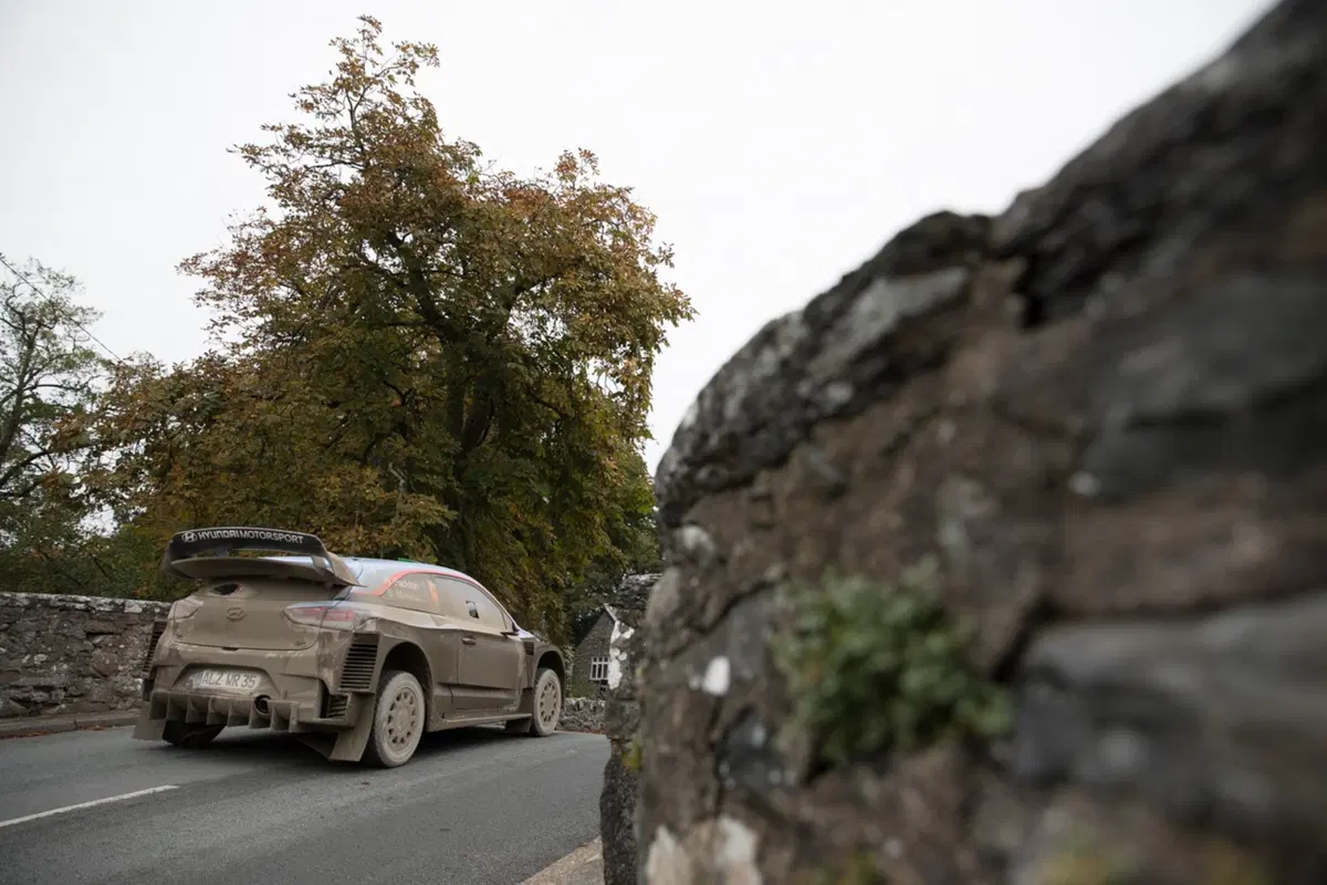 WRC18 Galles. Fine Primo Tempo: Tanak (Toyota) (13)