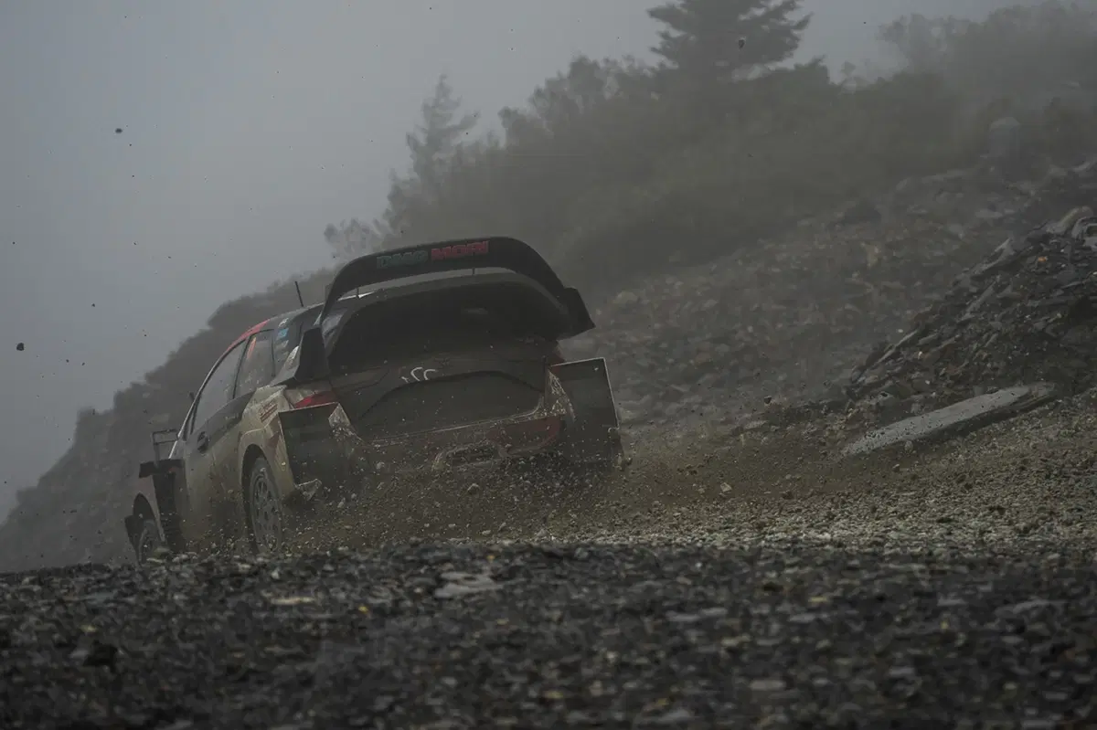 WRC, Rally Galles 2018: le foto più belle (9)