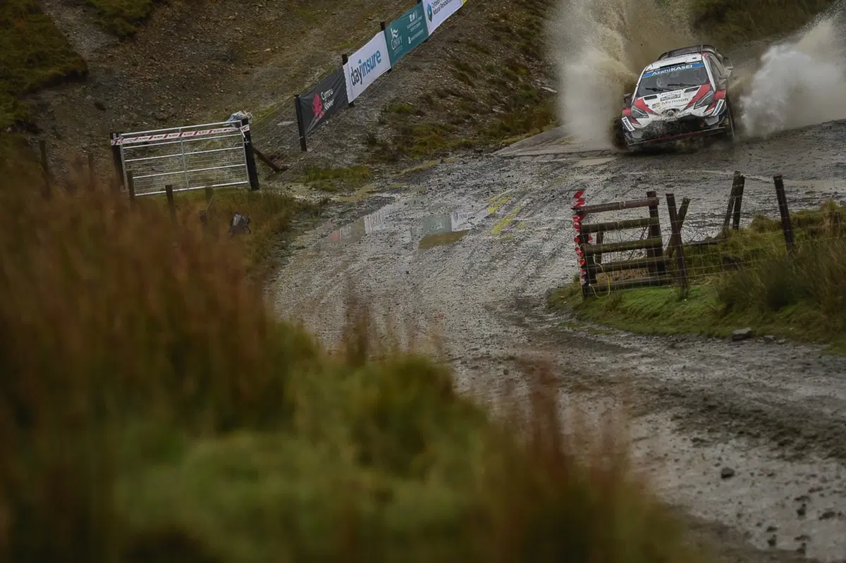 WRC, Rally Galles 2018: le foto più belle (10)