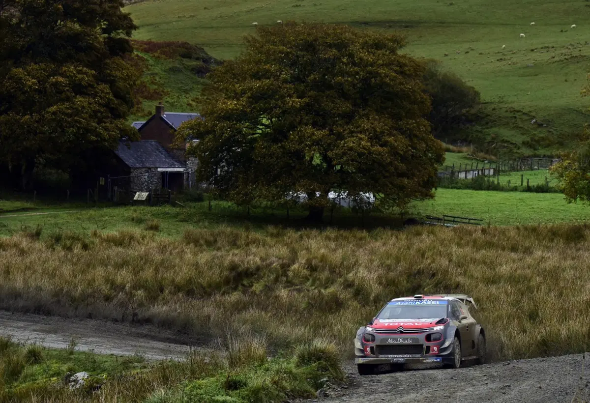 WRC, Rally Galles 2018: le foto più belle (23)