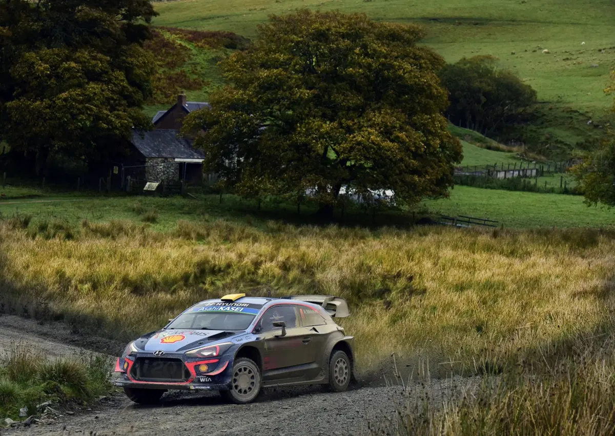 WRC, Rally Galles 2018: le foto più belle (29)