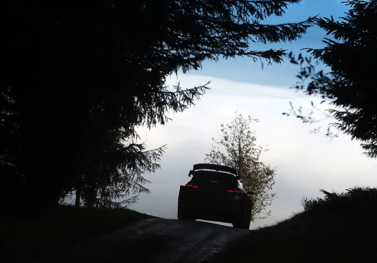 WRC, Rally Galles 2018: le foto più belle (39)