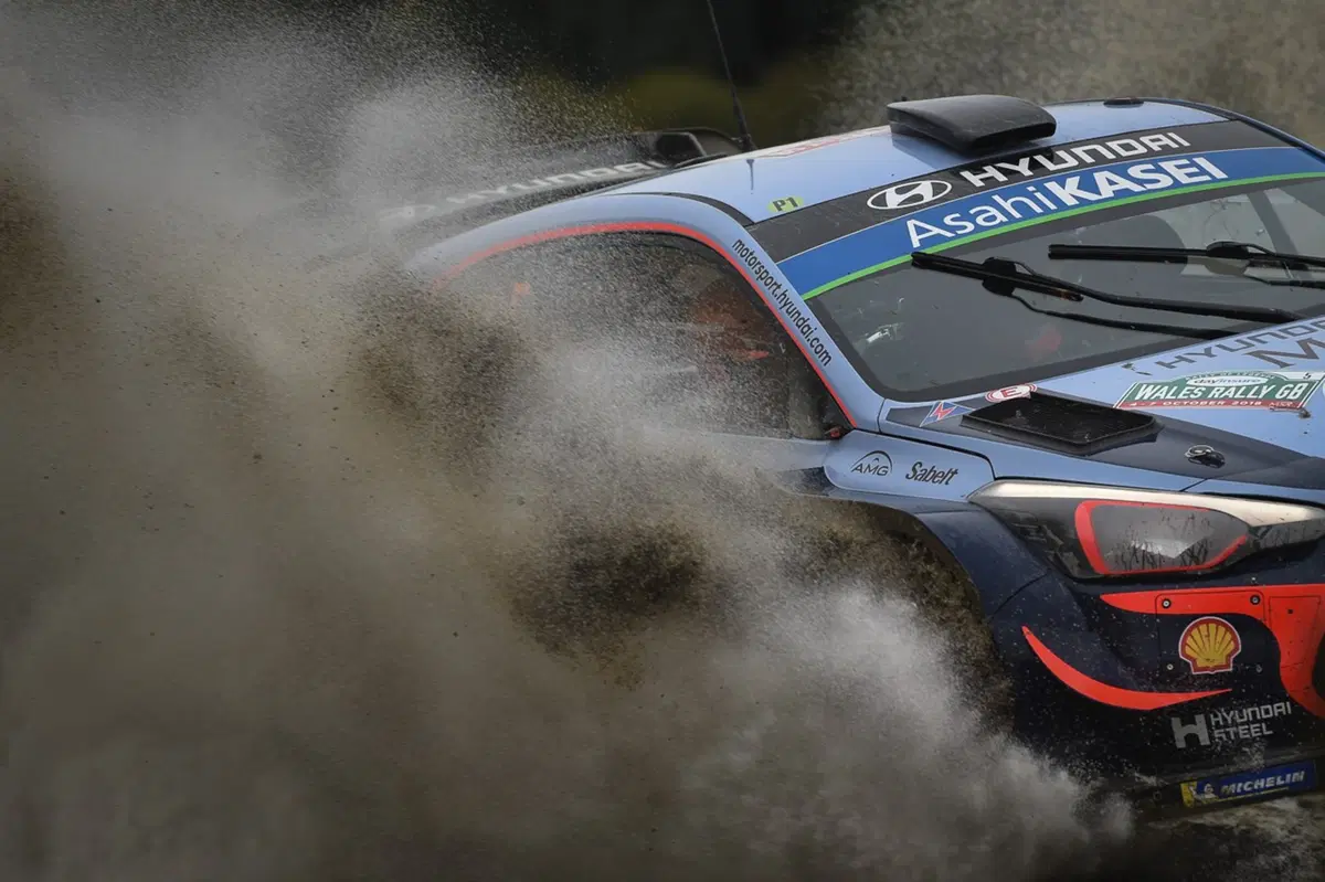 WRC, Rally Galles 2018: le foto più belle (54)