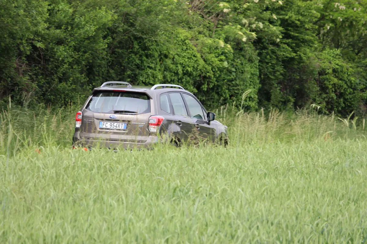 Subaru Forester | Test drive #AMboxing