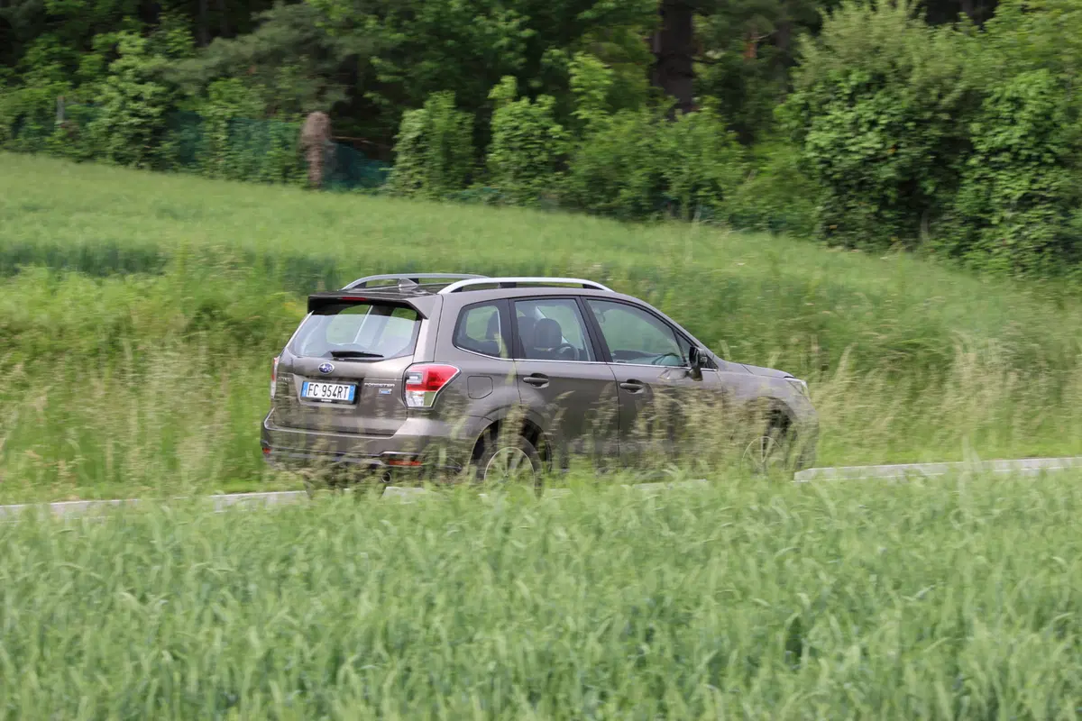 Subaru Forester | Test drive #AMboxing (2)