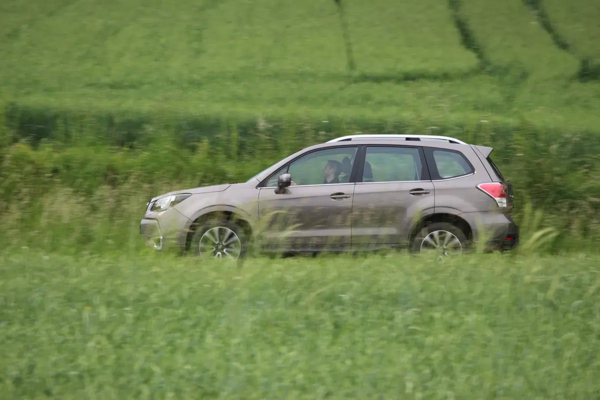 Subaru Forester | Test drive #AMboxing (3)
