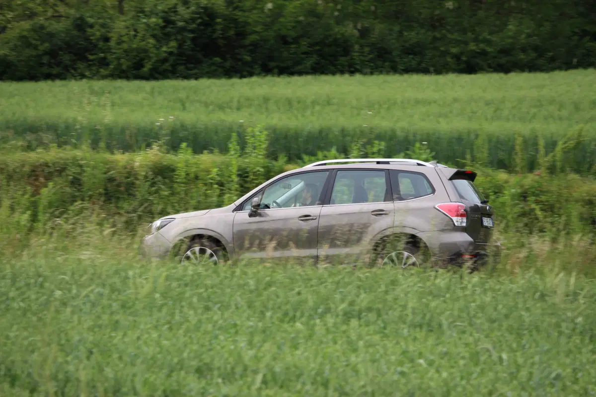 Subaru Forester | Test drive #AMboxing (4)