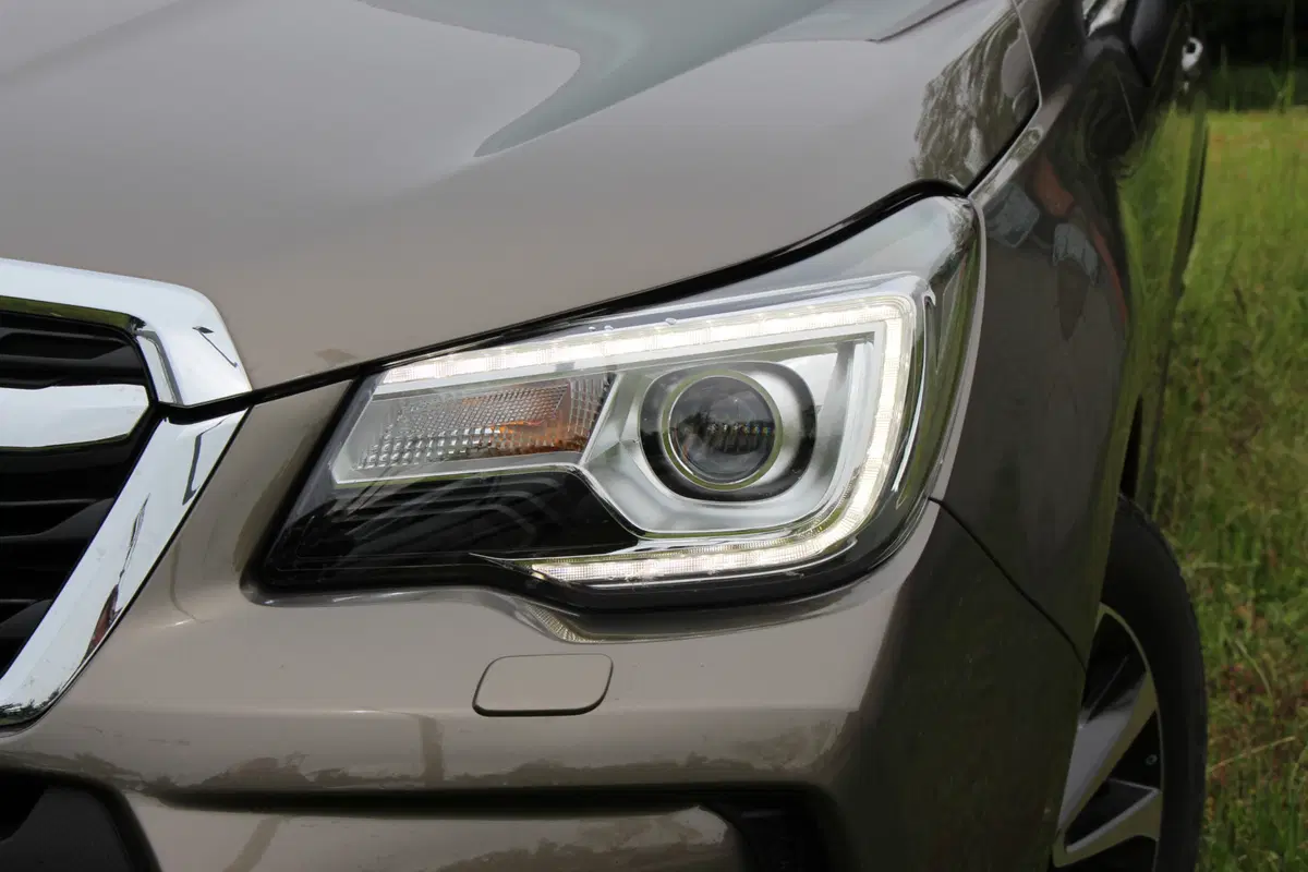 Subaru Forester | Test drive #AMboxing (12)
