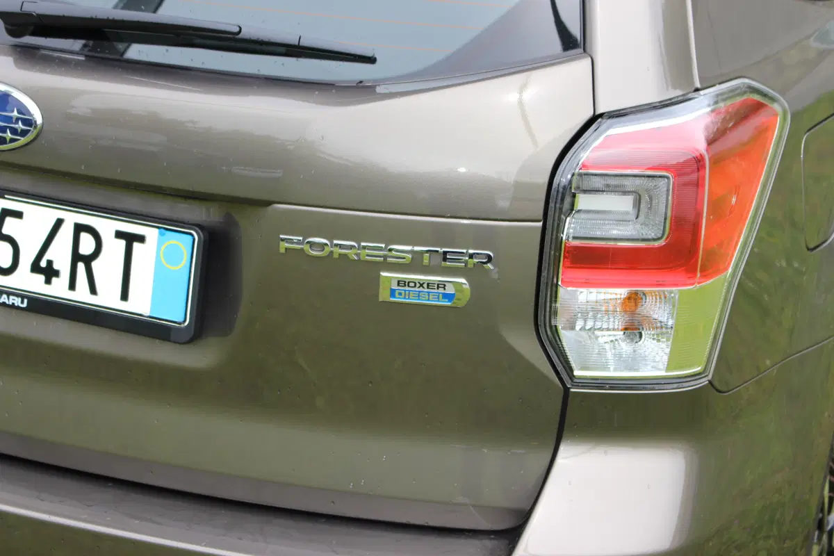 Subaru Forester | Test drive #AMboxing (15)