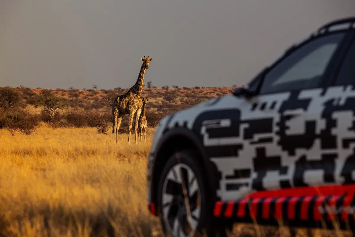 Audi e-tron: ecco dove e come è stato collaudato il prototipo [Video]  (7)