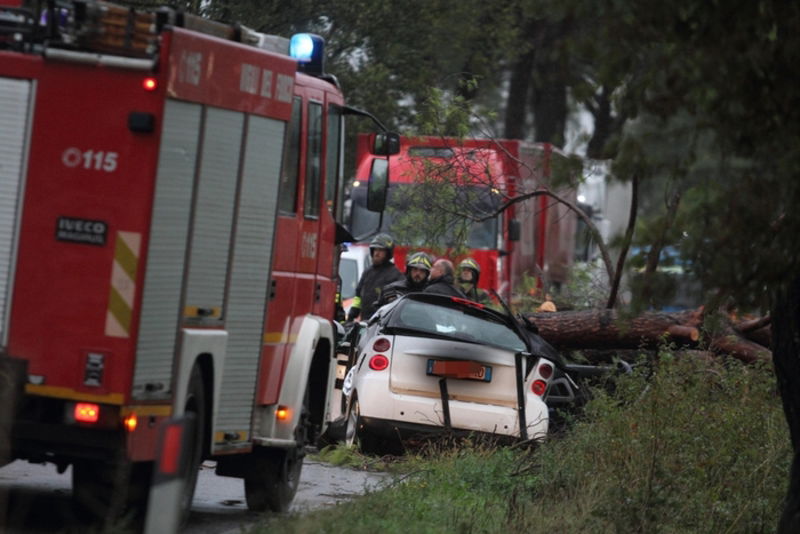 Due morti a Frosinone per il crollo di un albero