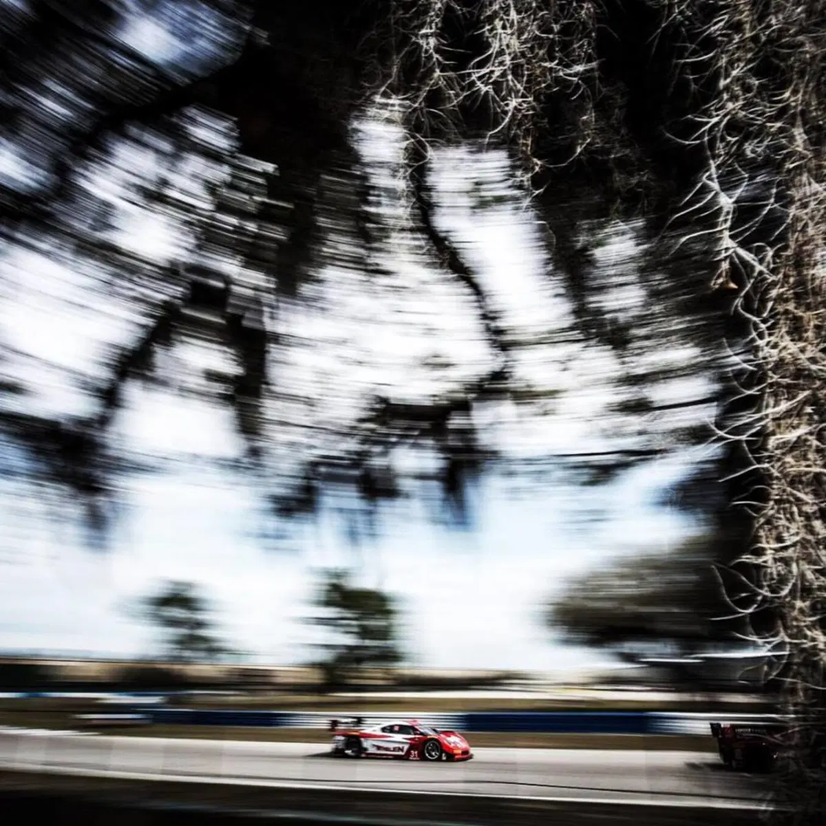 12 Ore di Sebring 2016, vince la Ligier JS P2 n. 2 di Extreme Speed Motorsports  (19)